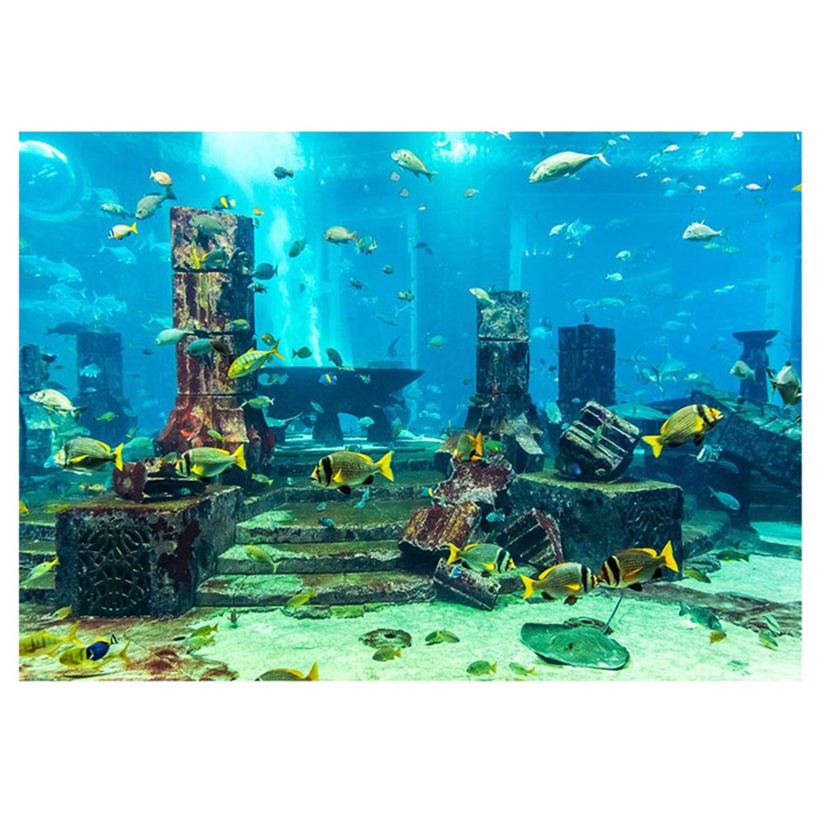 Aquarium Fish Poster - ZK20 Coral Aquarium Background Underwater Poster