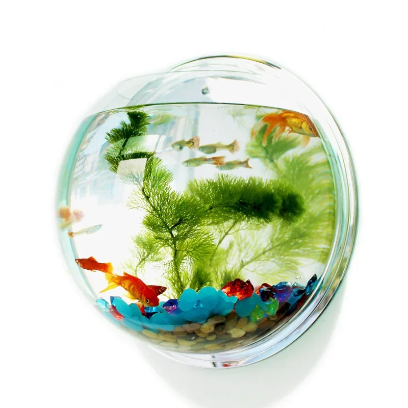 Aquarium Fish Background - Pinsjar Acrylic Fish Bowl Wall Hanging