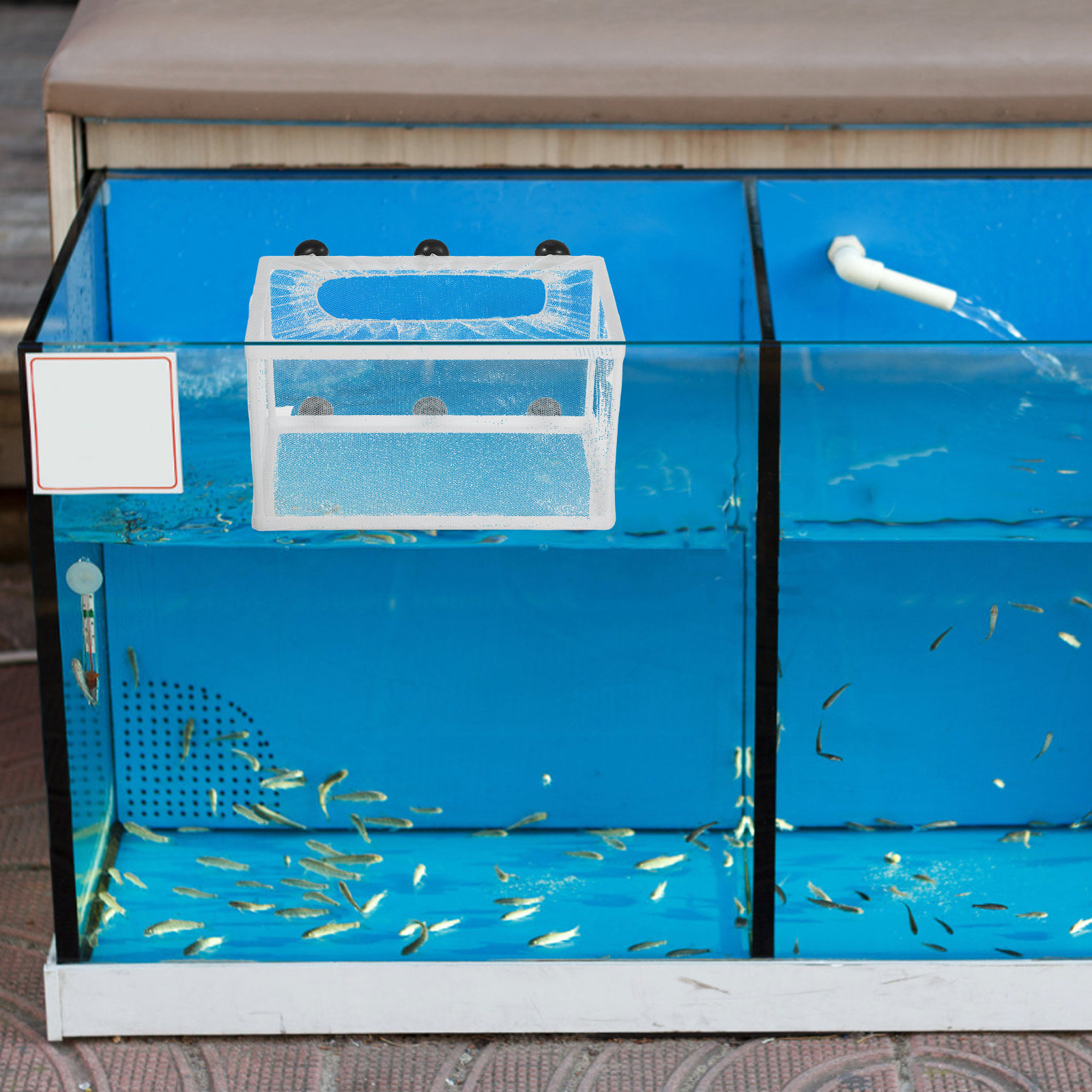 Aquarium Fish Net Big Size - Fish Net Big Size Aquarium Hatchery