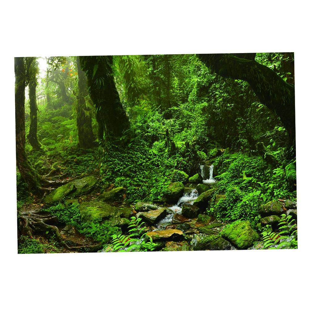 Aquarium Fish Poster - Aquarium Backdrop Poster Vivid Colors Self