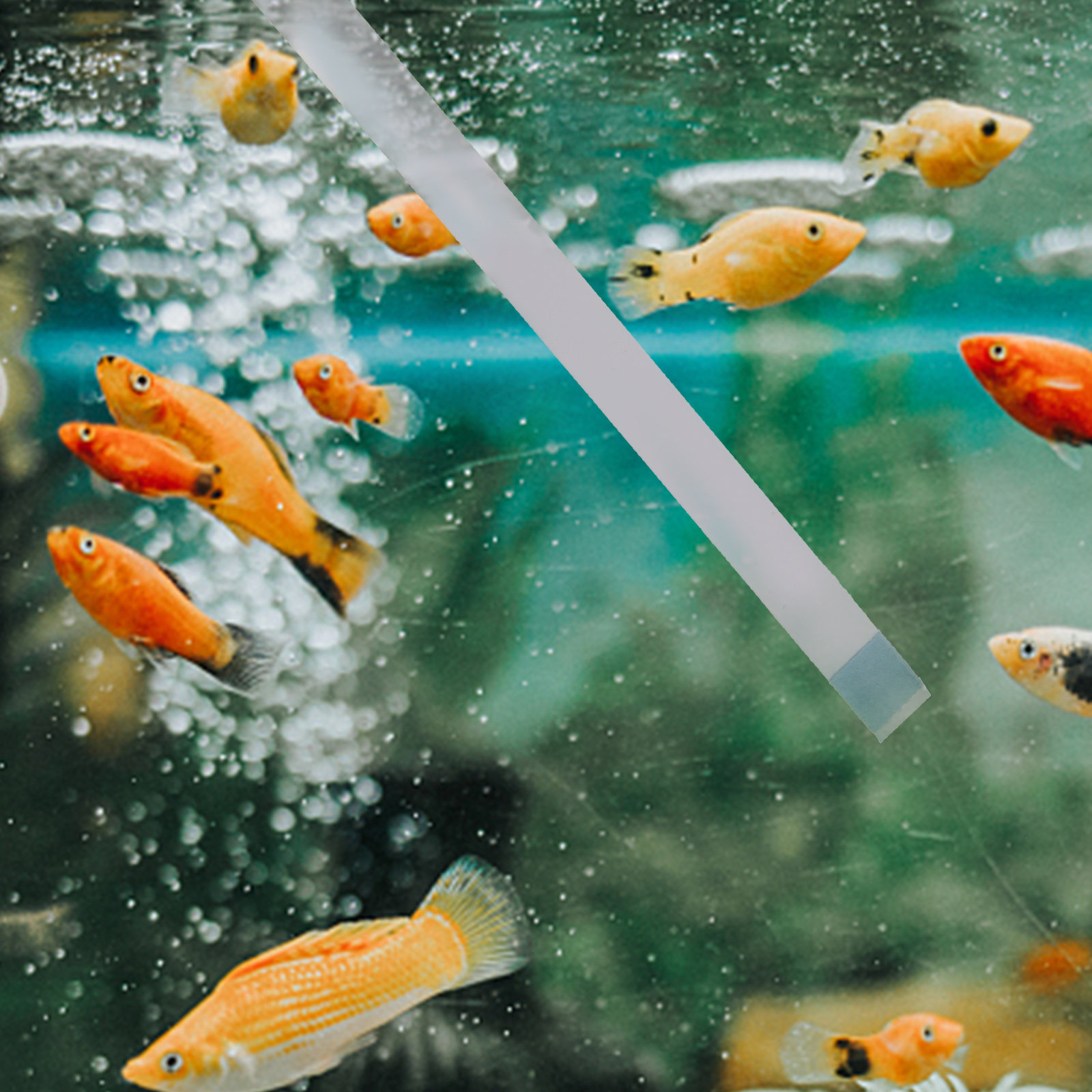 Aquarium Test Kit - 1 Box Water Hardness Test Strips