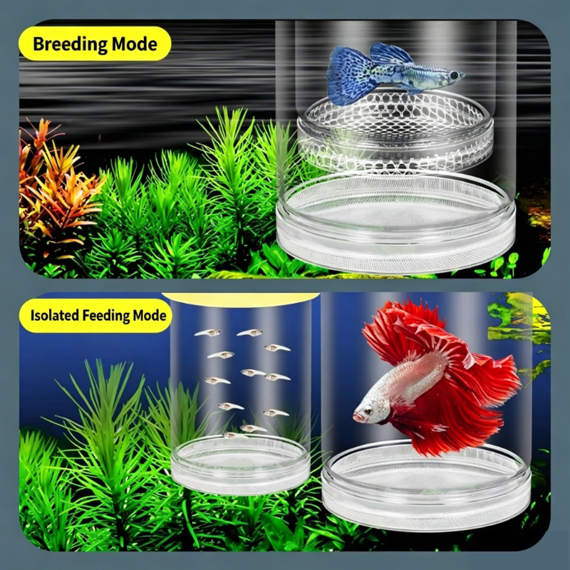 Fish Toy In Aquarium - Transparent Floating Aquarium Hatch Box, Multifunctional