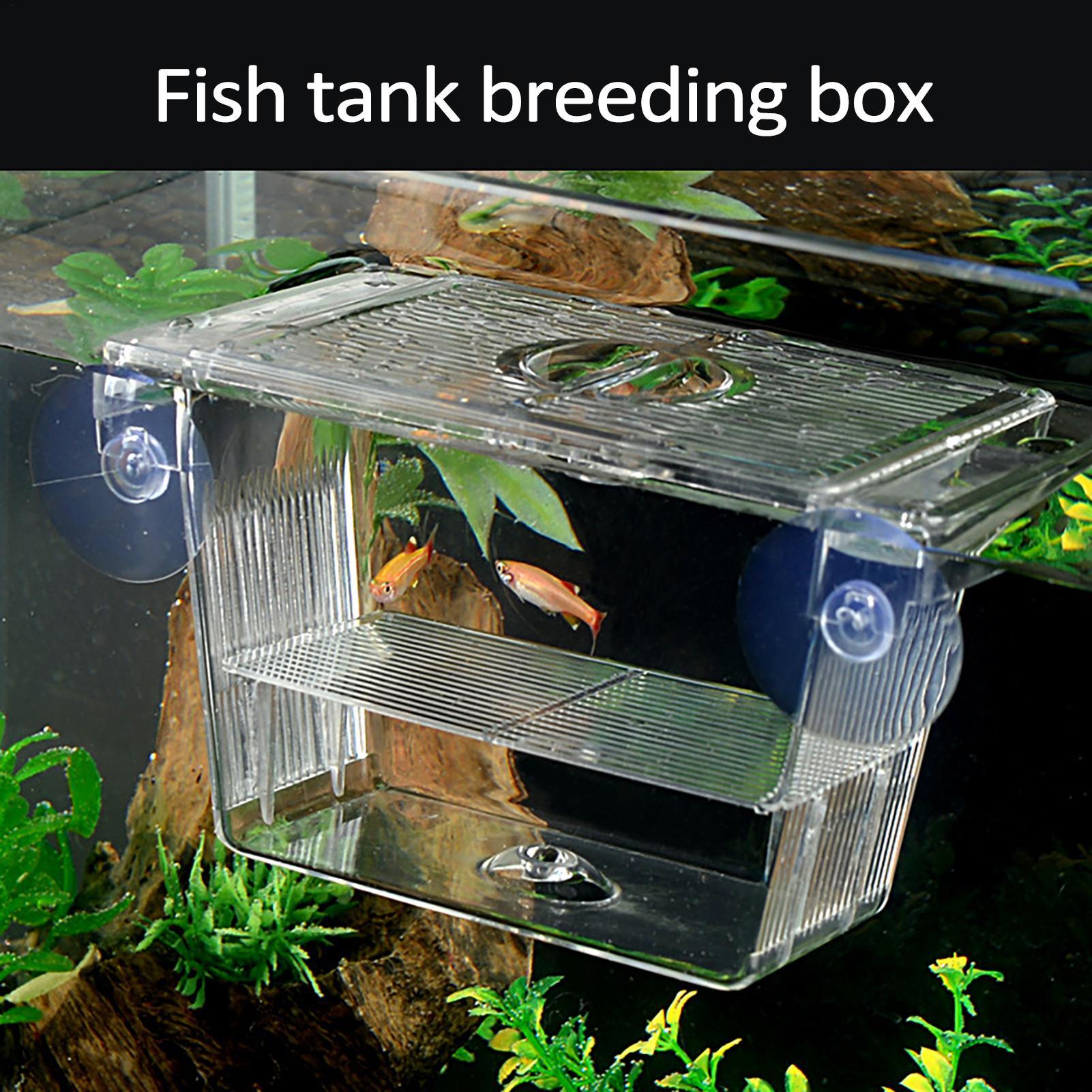 Fish Toy In Aquarium - Breeder Box for Fish Tank Transparent
