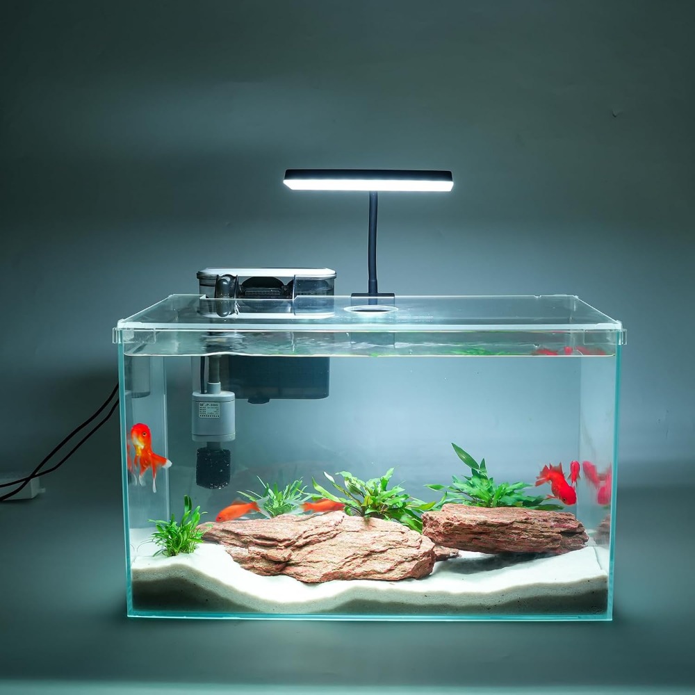 Fish Toy In Aquarium - 10 Gallon Glass Fish Tank with