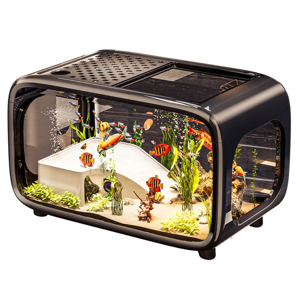 Aquarium Fish Live - Creative Transparent Ecological Fish Tank with