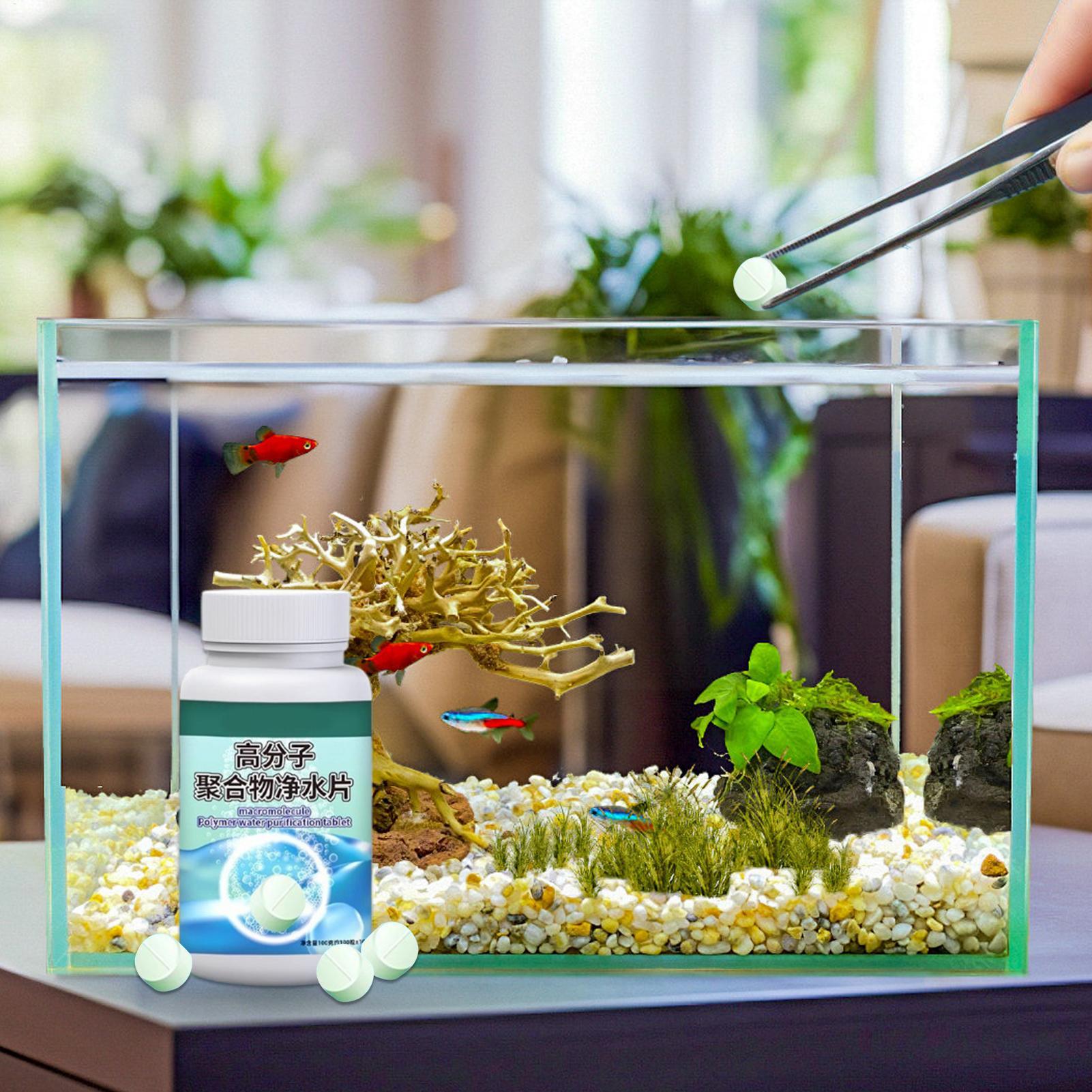 Fish Can Algae Remover Aquariu - Aquarium Fish Care 评论和价格
