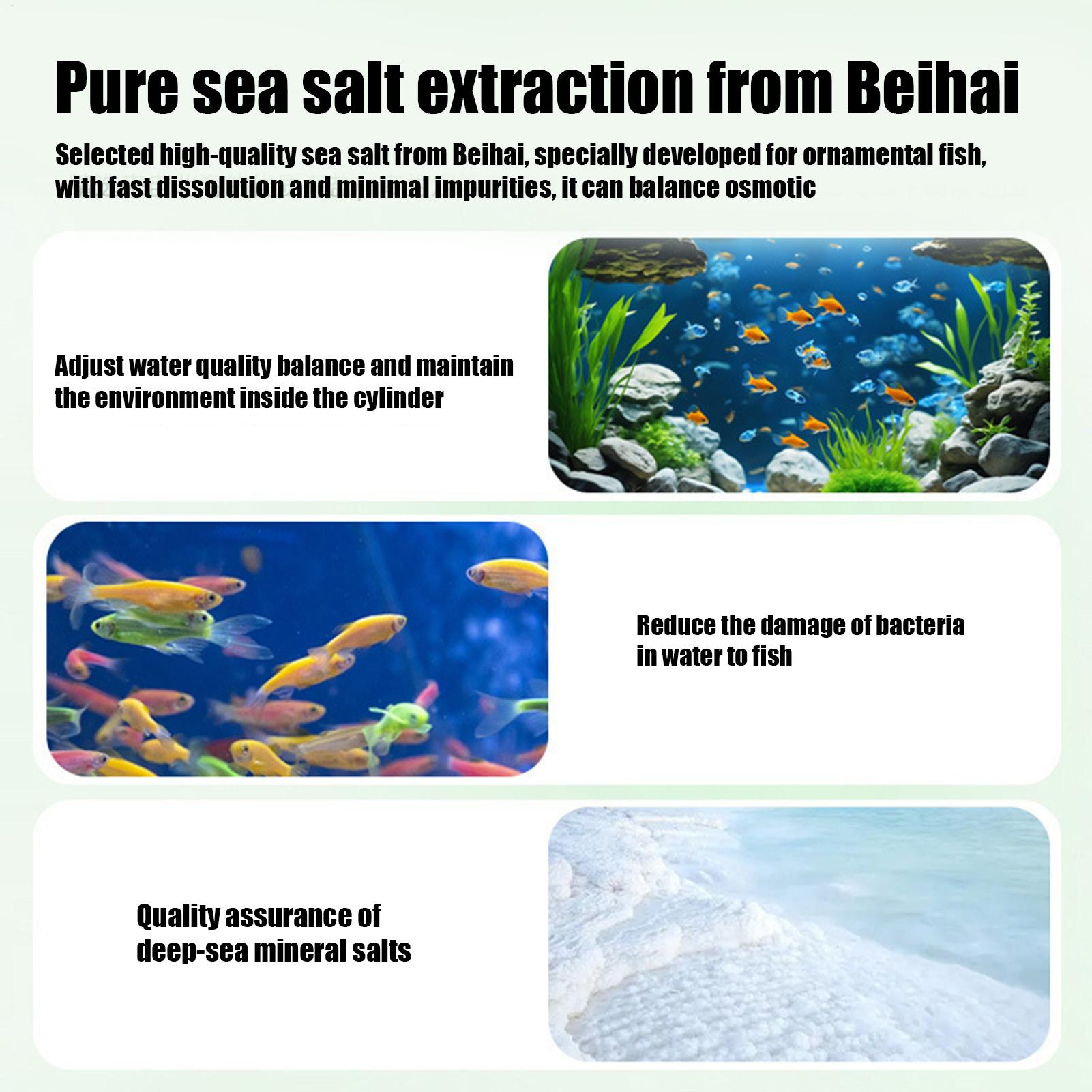 Fish Can Algae Remover Aquariu - Aquarium Fish Care 评论和价格