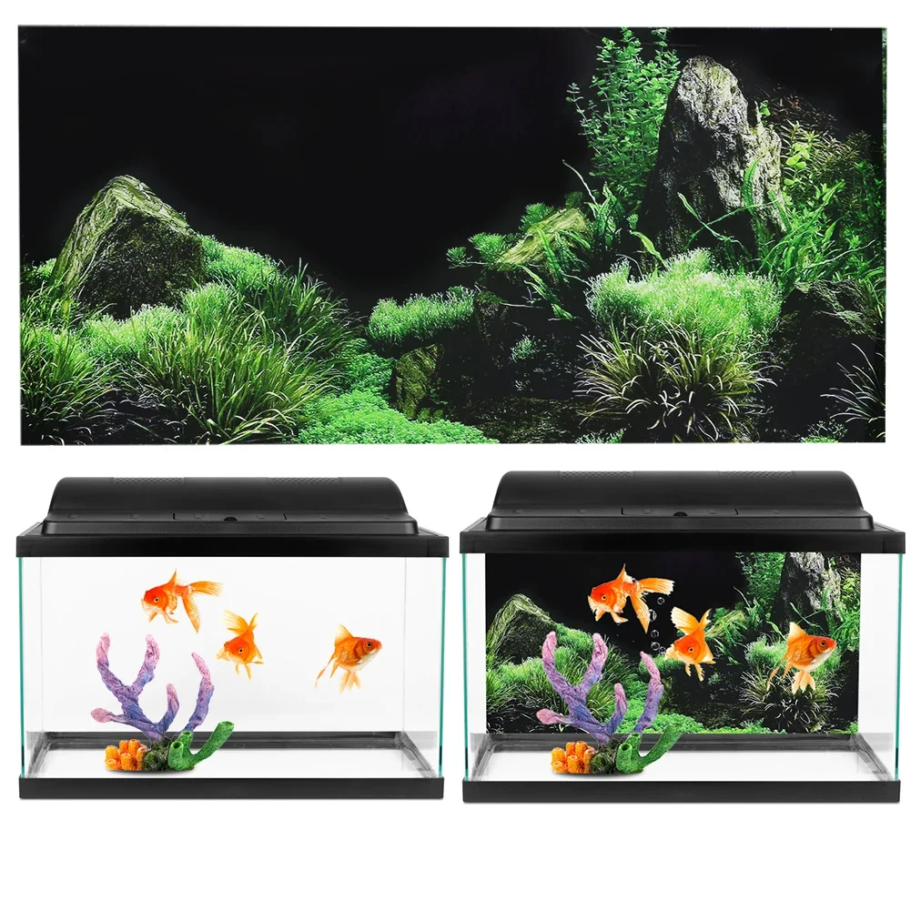 Background for Aquarium 3d Sti - Aquarium Fish Poster 评论和价格