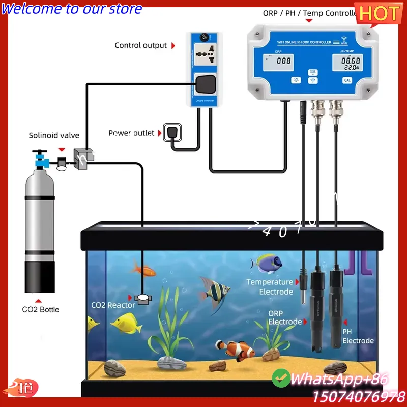 2026 Wireless WiFi Online Cont - Aquarium Fish In Online 评论和价格