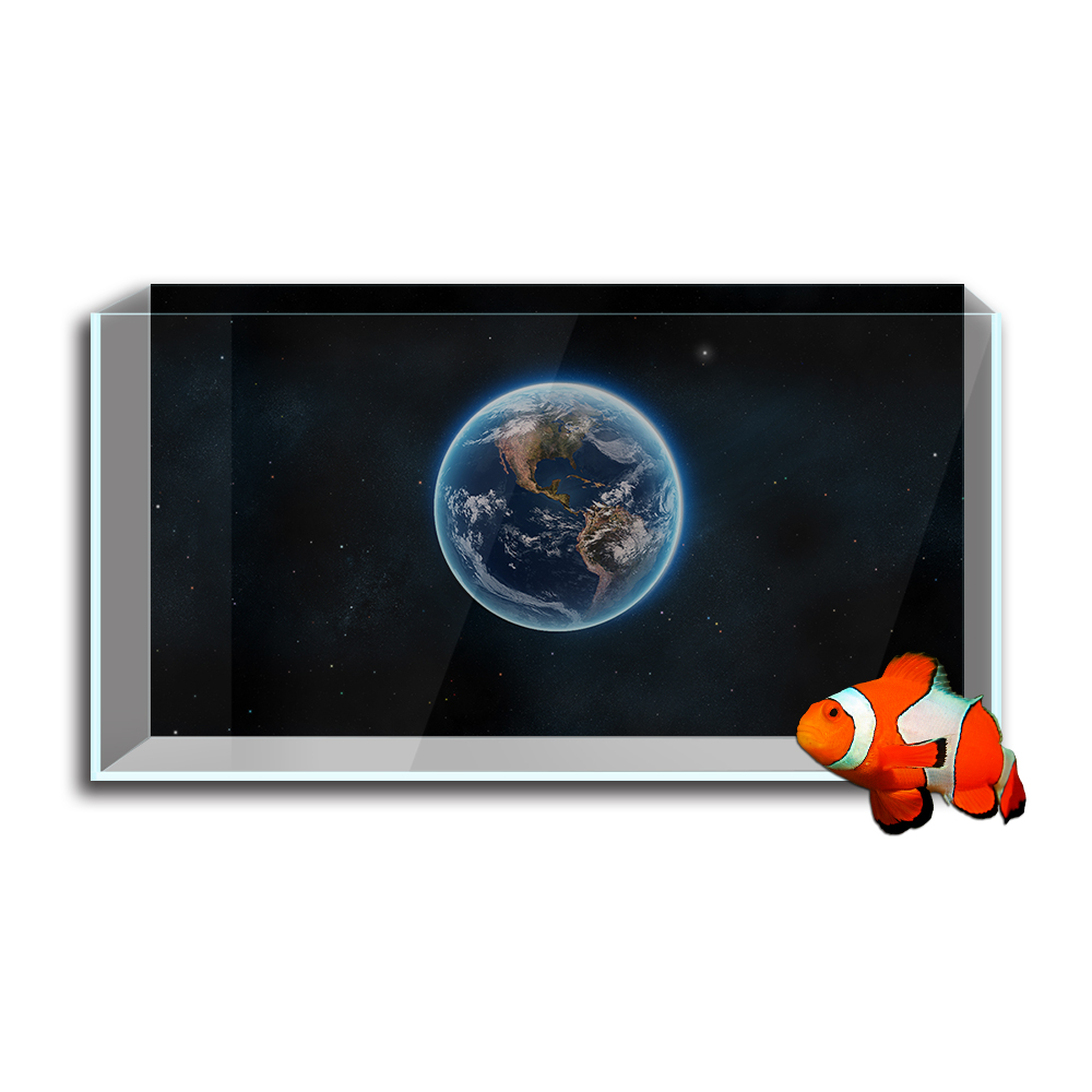 Aquarium Fish Tank  Background - Aquarium Fish Poster 评论和价格
