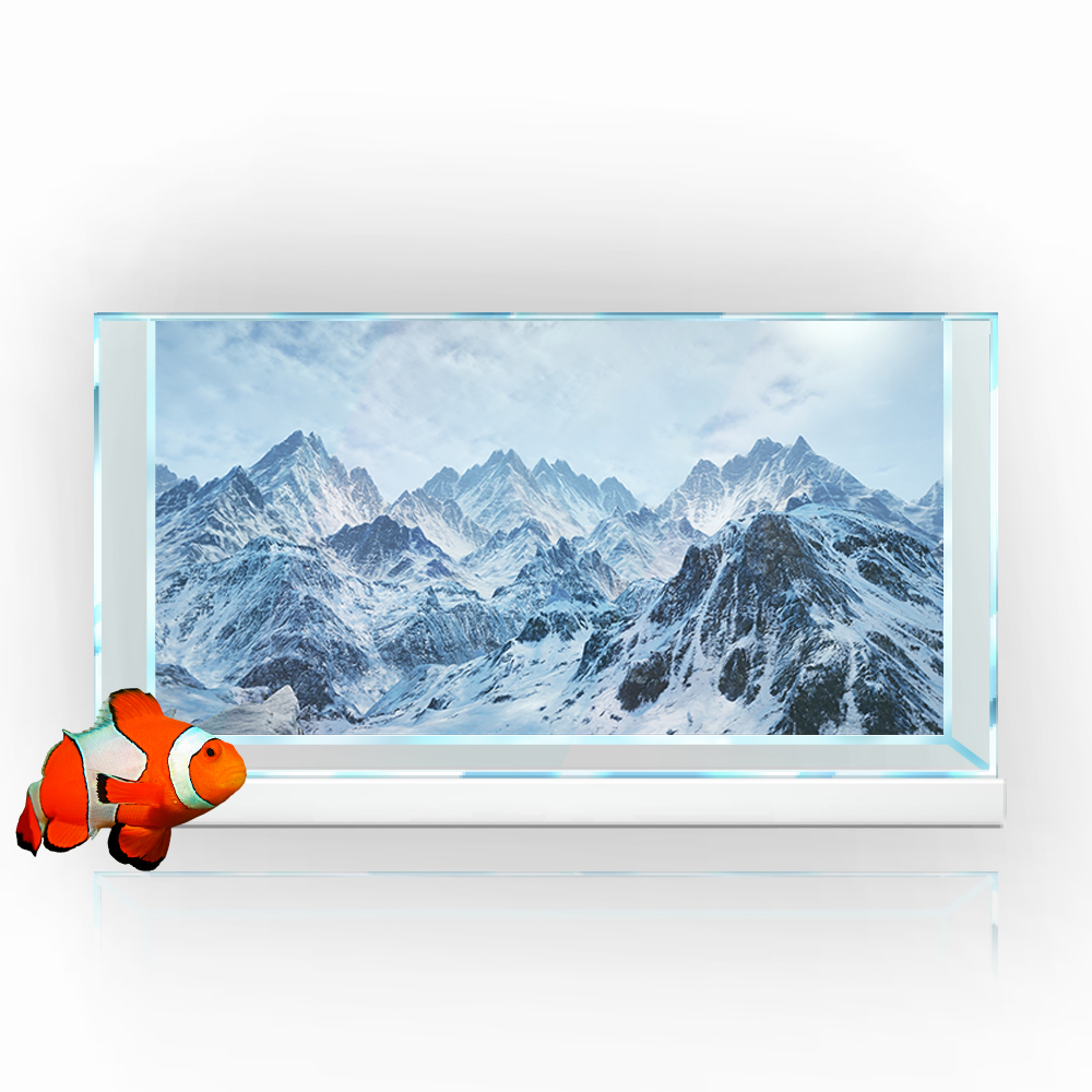 Aquarium Background Sticker,   - Aquarium Fish Poster 评论和价格