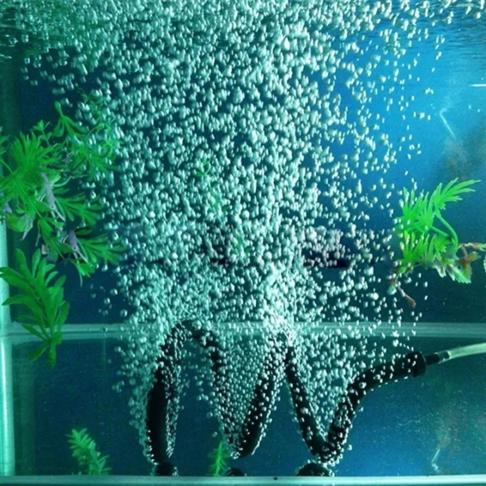 Fish Tank Bubble Bar Rubber La - Aquarium Fish Youtube 评论和价格