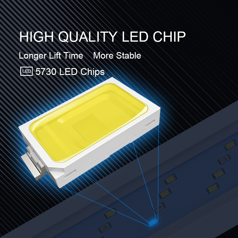 Extensible Waterproof Clip on  - Aquarium Fish Light Lamp 评论和价格