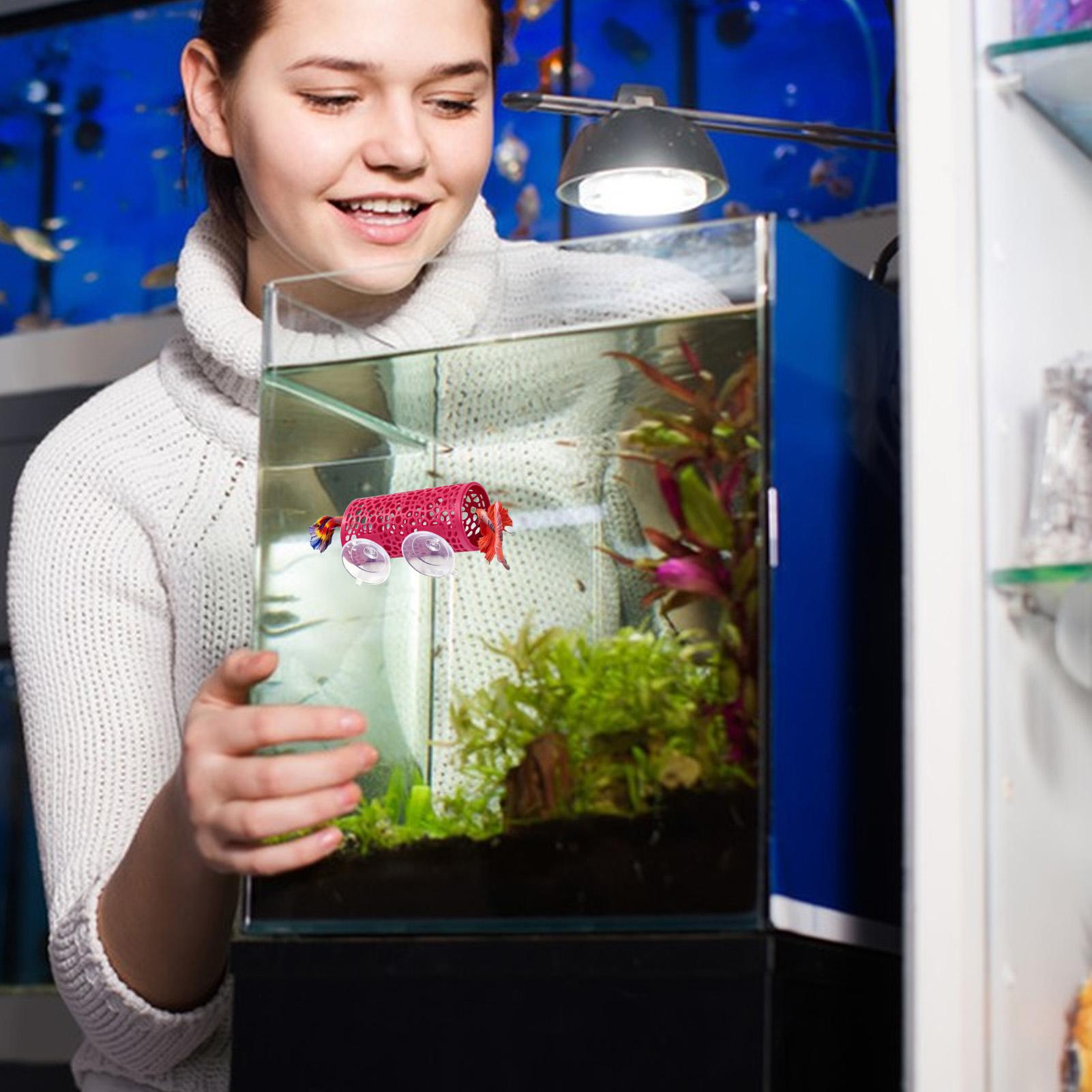 Betta Habitat Resting Shelter  - Aquarium Fish Youtube 评论和价格