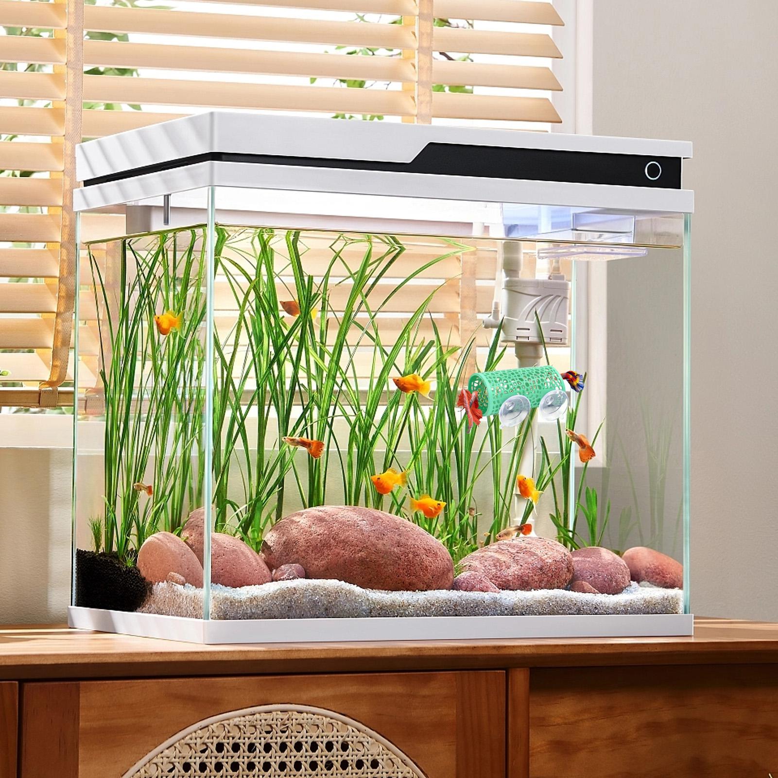 Betta Habitat Resting Shelter  - Aquarium Fish Youtube 评论和价格