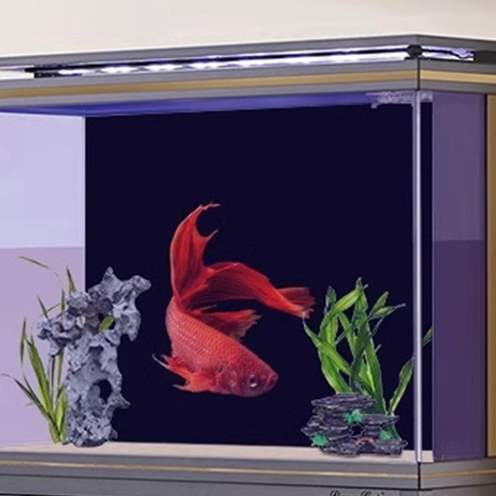 Fish Tank Background Static Cl - Aquarium Fish Poster 评论和价格