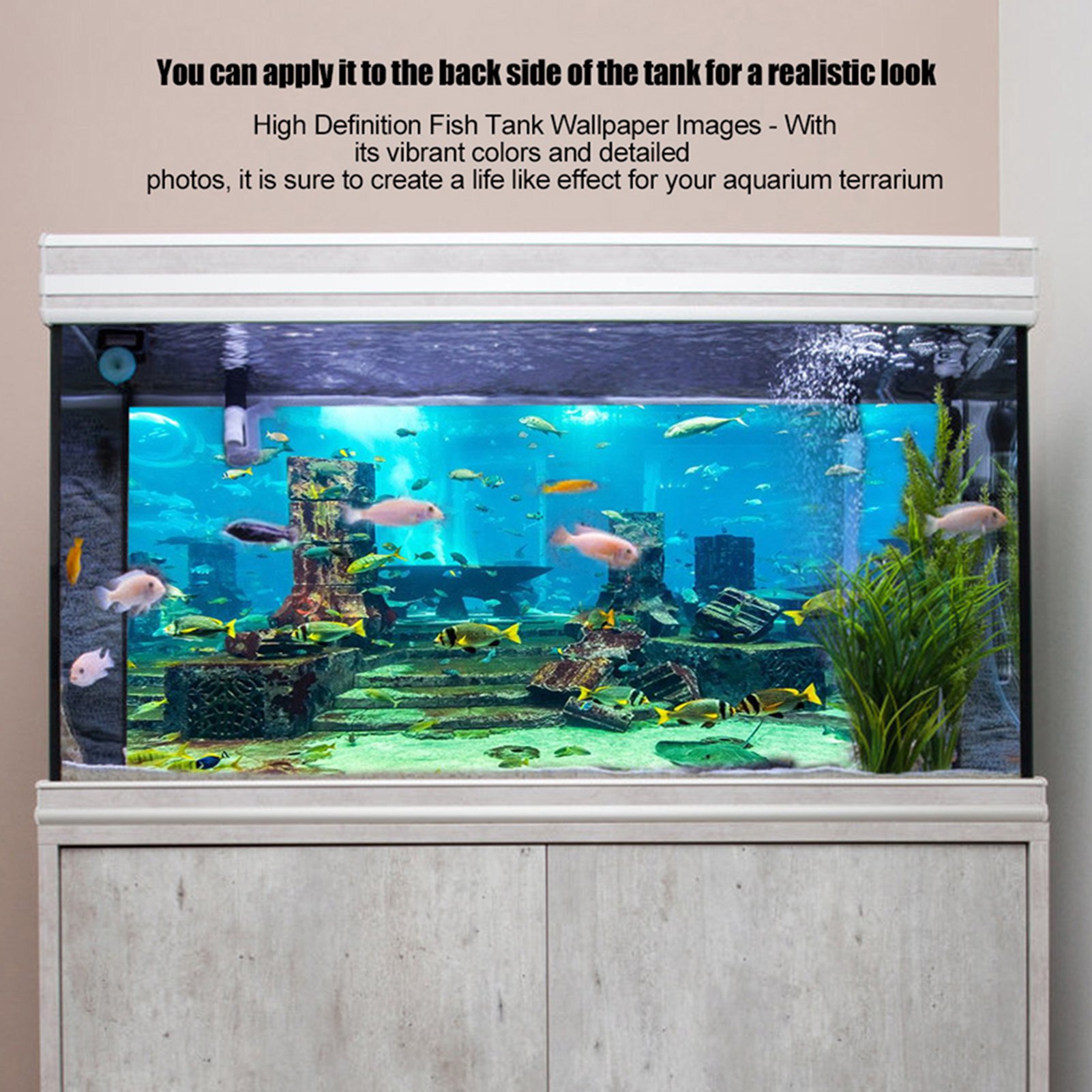 ZK20 Coral Aquarium Background - Aquarium Fish Poster 评论和价格
