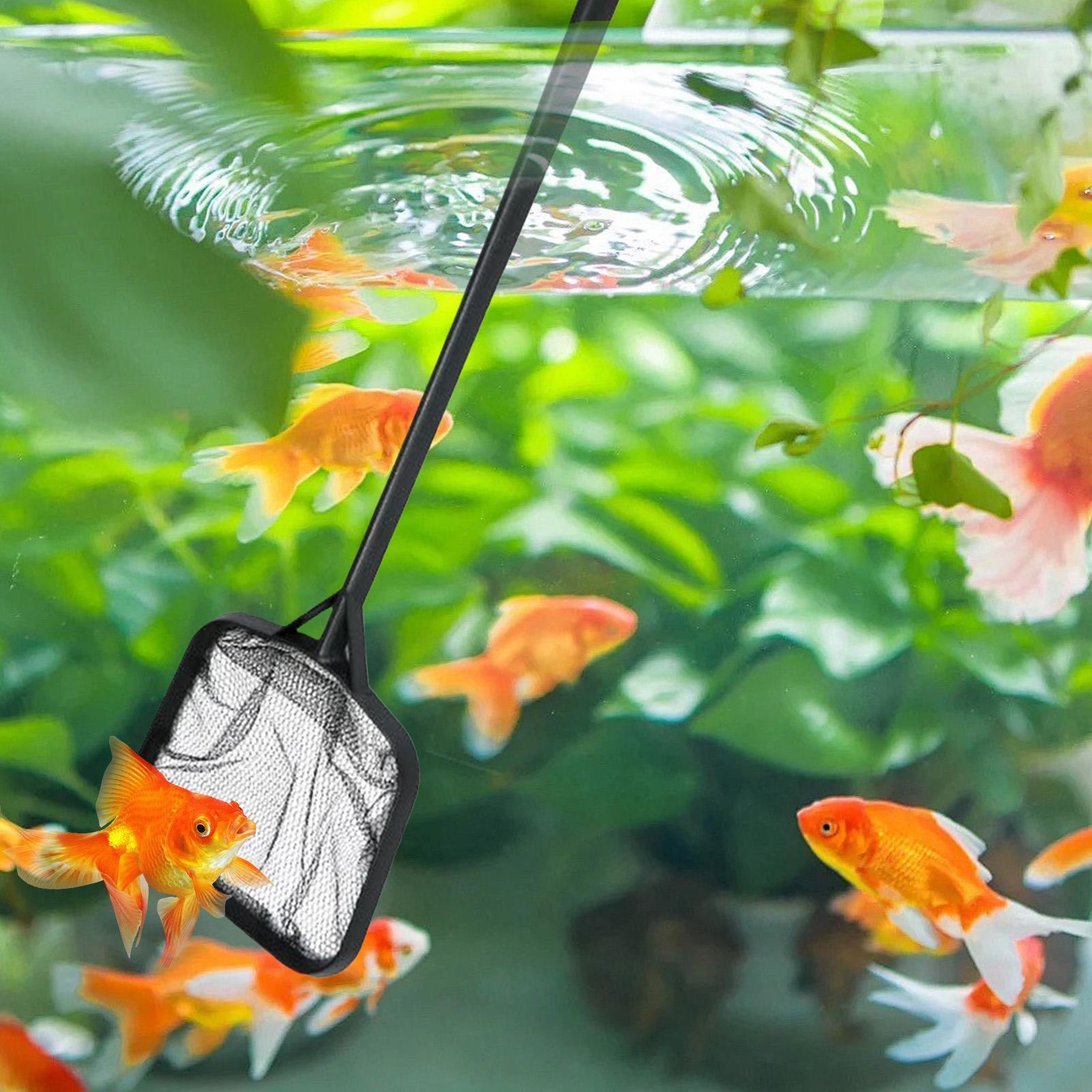 Pool Nets for Cleaning Portabl - Aquarium Fish Care 评论和价格
