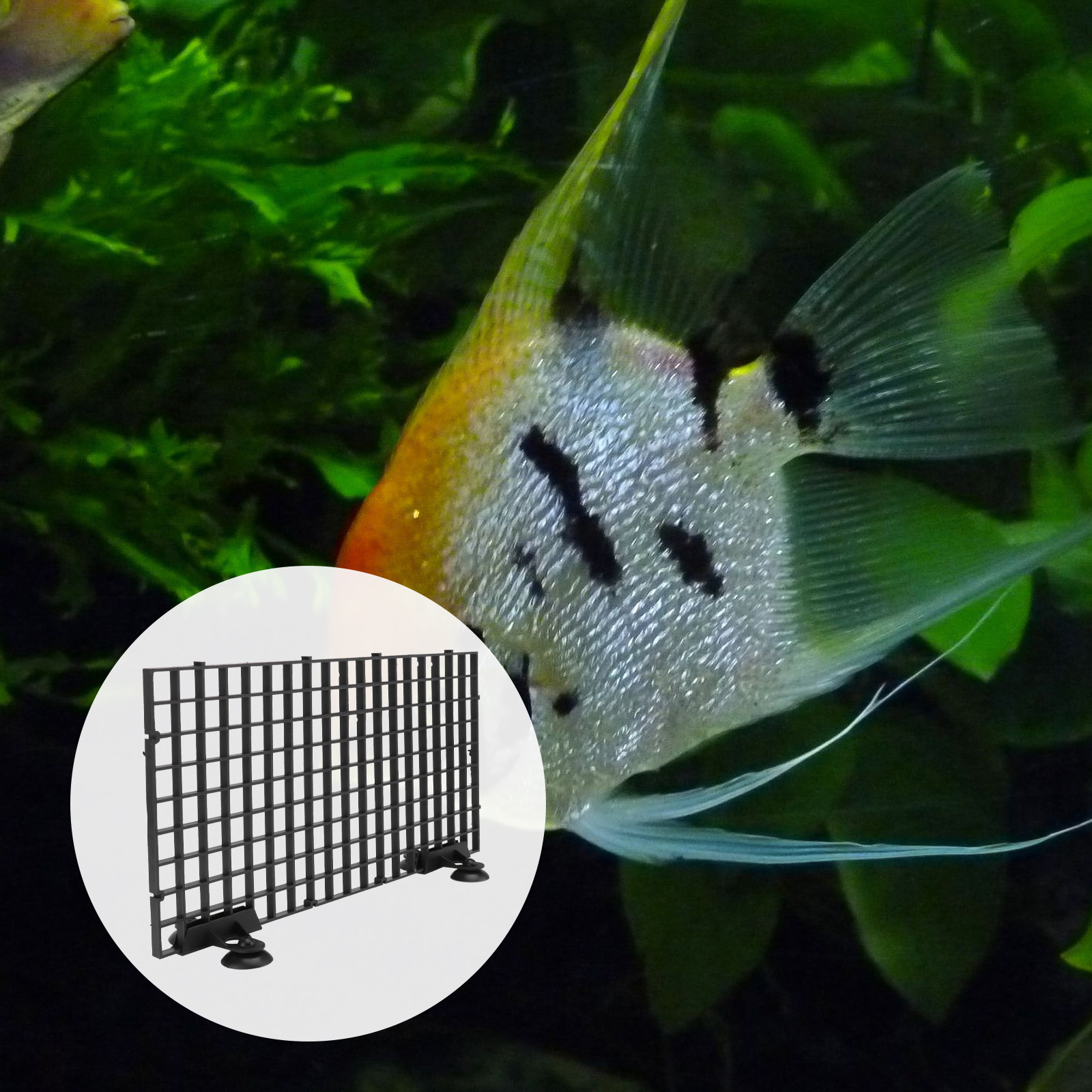 Fish Breeder Net Big Size Blac - Aquarium Fish Net Big Size 评论和价格