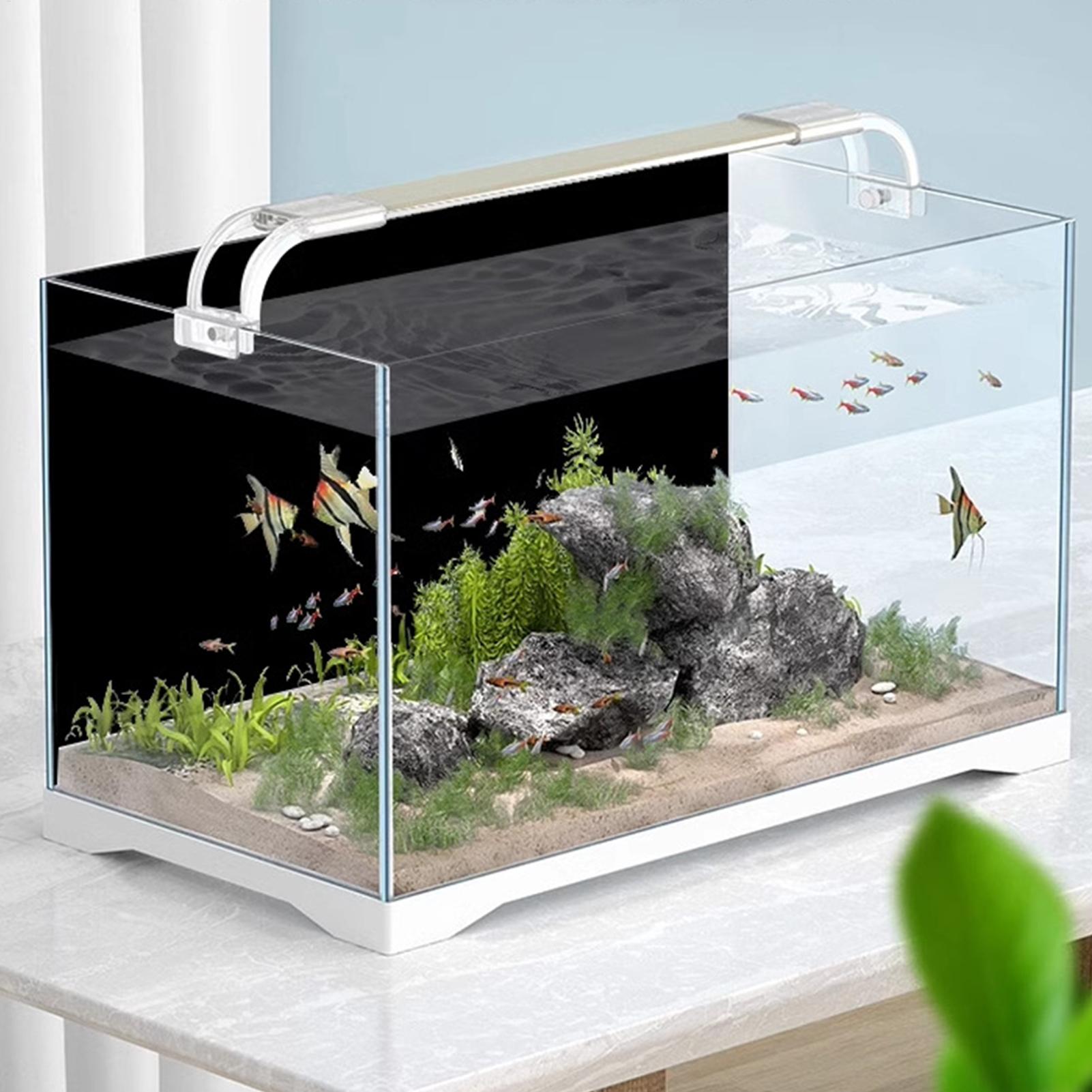 Fish Tank Background Static Cl - Aquarium Fish Poster 评论和价格