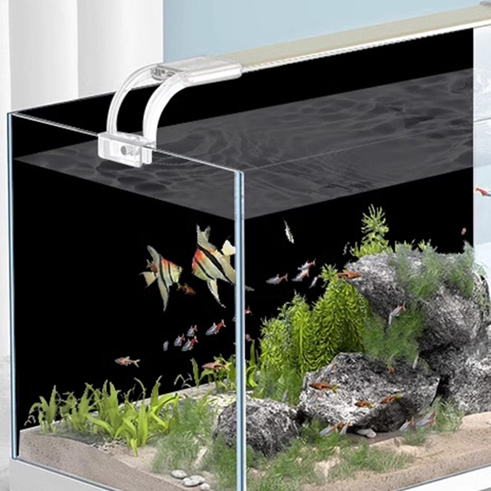 Fish Tank Background Static Cl - Aquarium Fish Poster 评论和价格