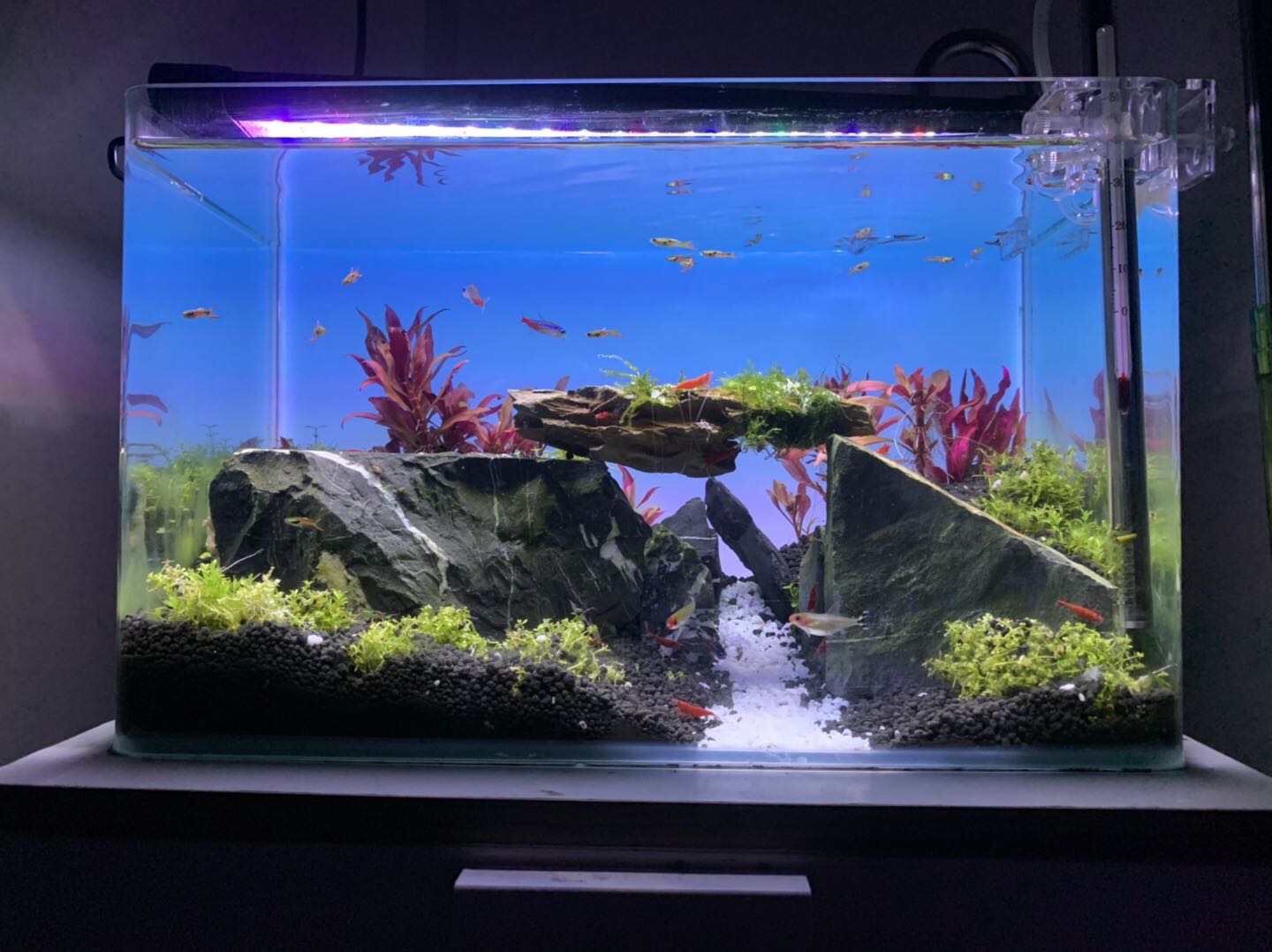 RGB Color Changing Aquarium Li - Aquarium Fish Background 评论和价格