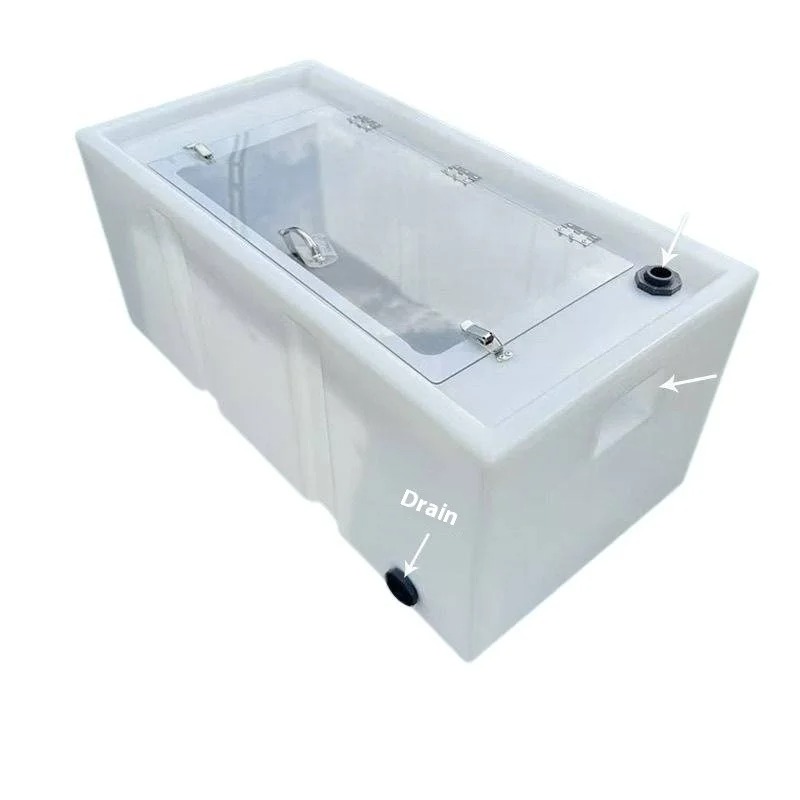 Live Fish Bucket Thickened   4 - Aquarium Fish Live 评论和价格