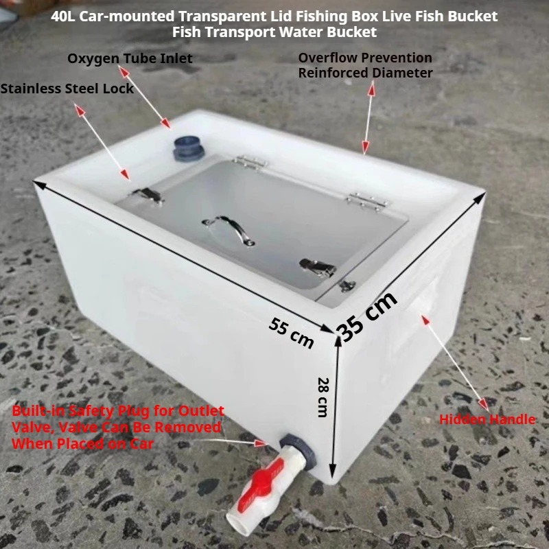 Live Fish Bucket Thickened   4 - Aquarium Fish Live 评论和价格
