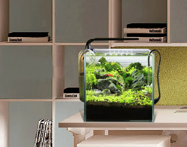 Chihiros C Series ADA Style Pl - Aquarium Fish Background 评论和价格