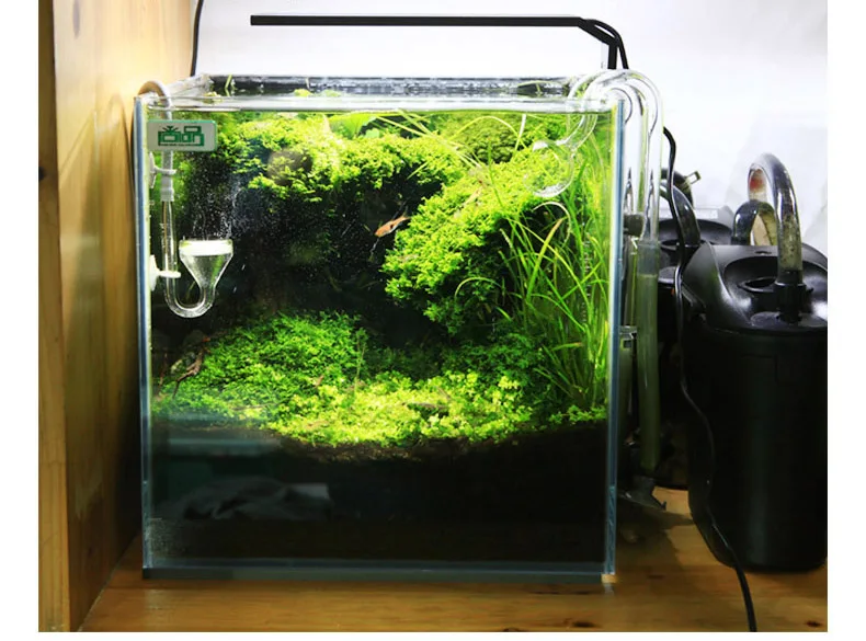 Chihiros C Series ADA Style Pl - Aquarium Fish Background 评论和价格