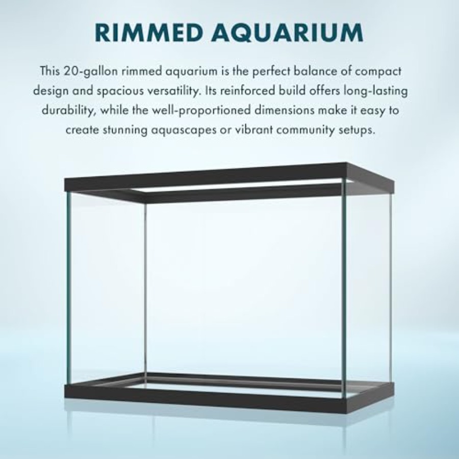 20 Gallon Glass Aquarium - 24  - Fish Toy In Aquarium 评论和价格