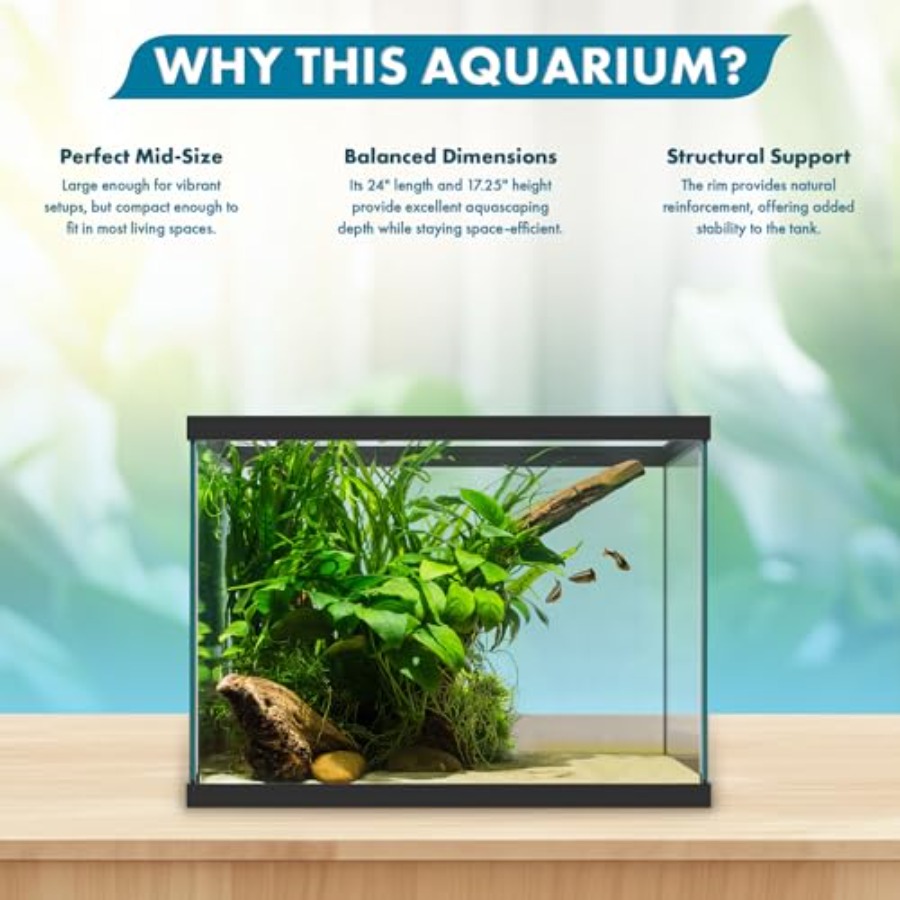 20 Gallon Glass Aquarium - 24  - Fish Toy In Aquarium 评论和价格