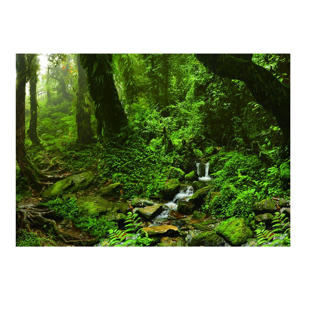 Aquarium Backdrop Poster Vivid - Aquarium Fish Poster 评论和价格