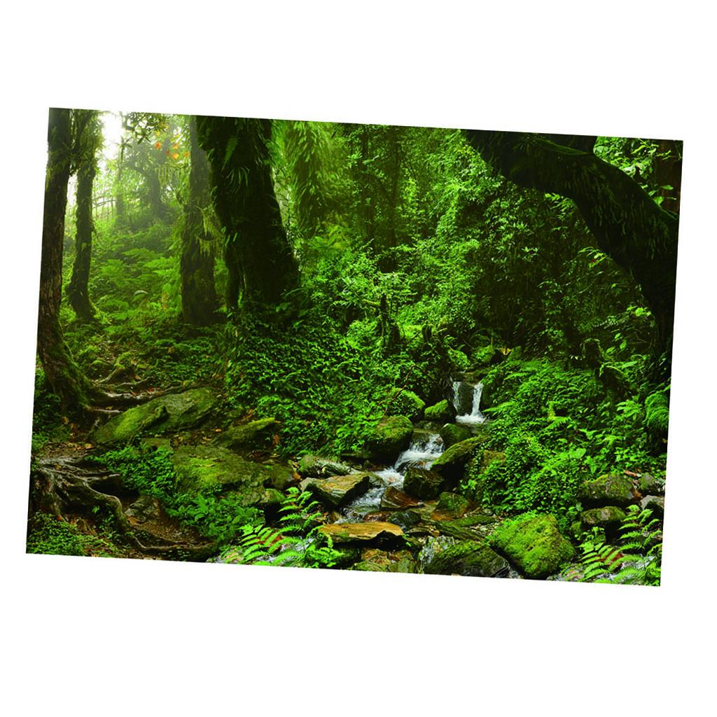 Aquarium Backdrop Poster Vivid - Aquarium Fish Poster 评论和价格