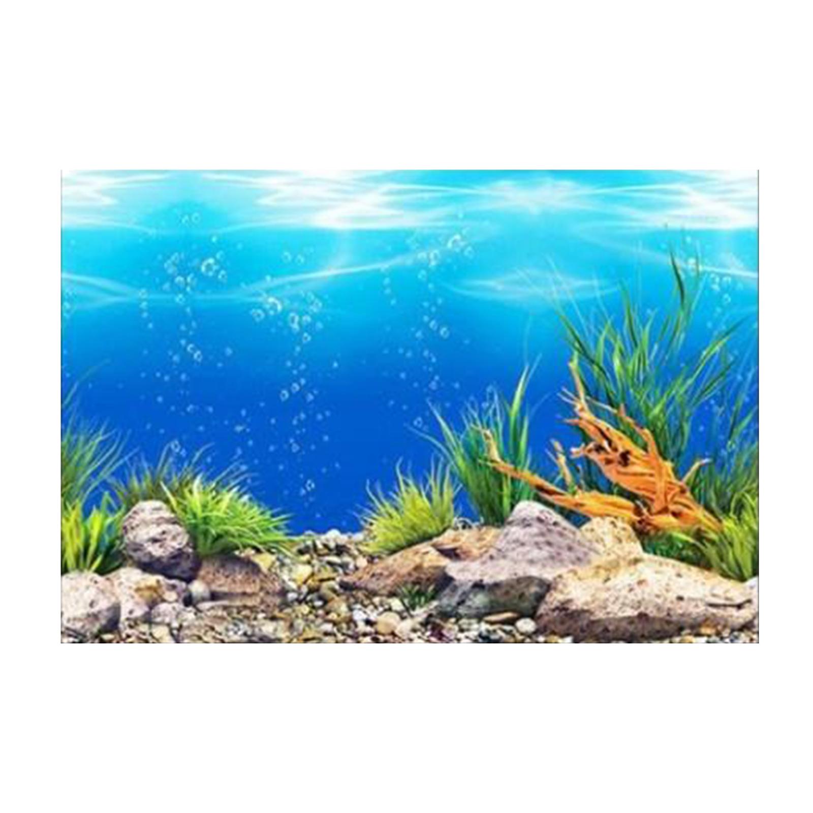 3D Effect Aquarium Background  - Aquarium Fish Poster 评论和价格