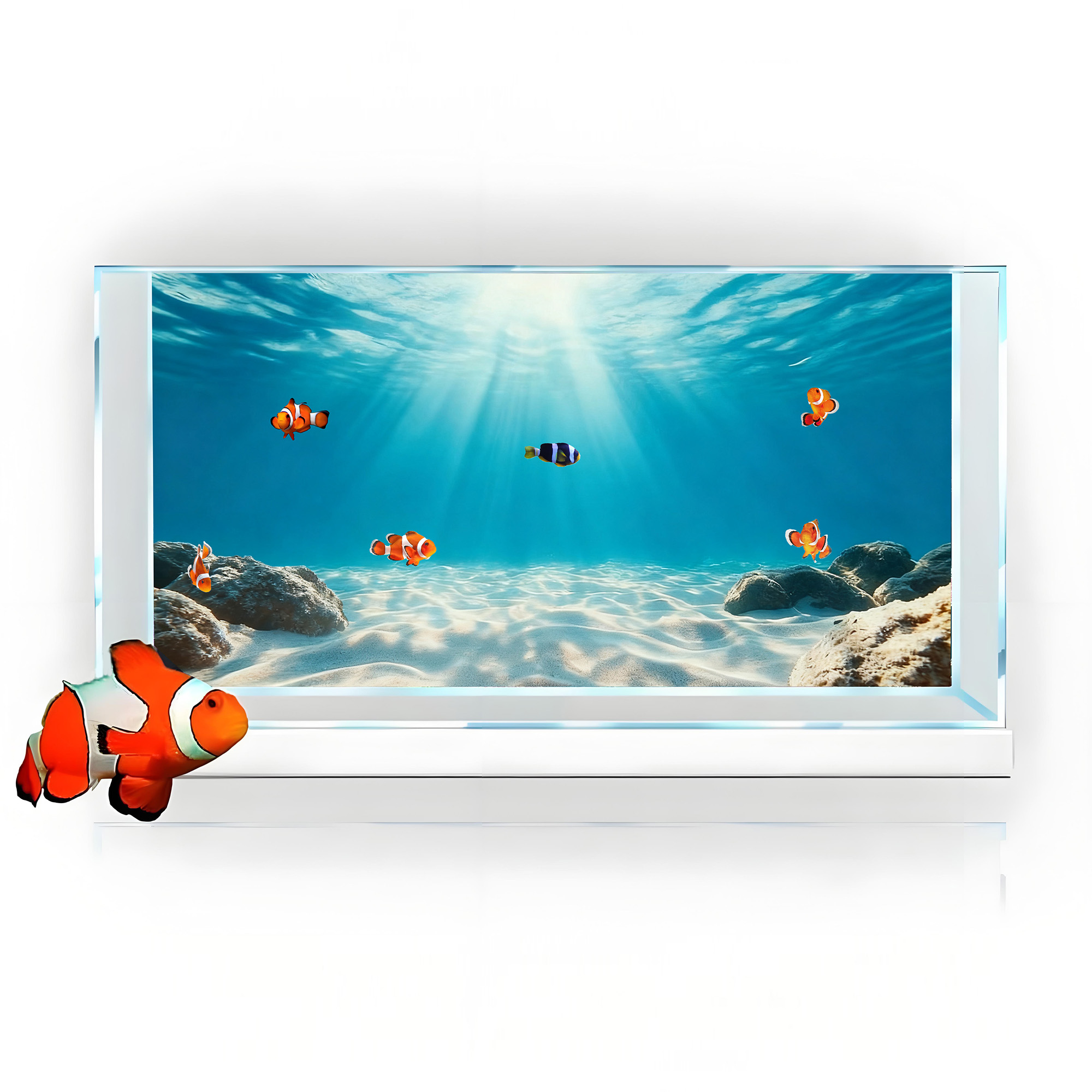 Blue Sea Clear Sand, Fish Tank - Aquarium Fish Background 评论和价格