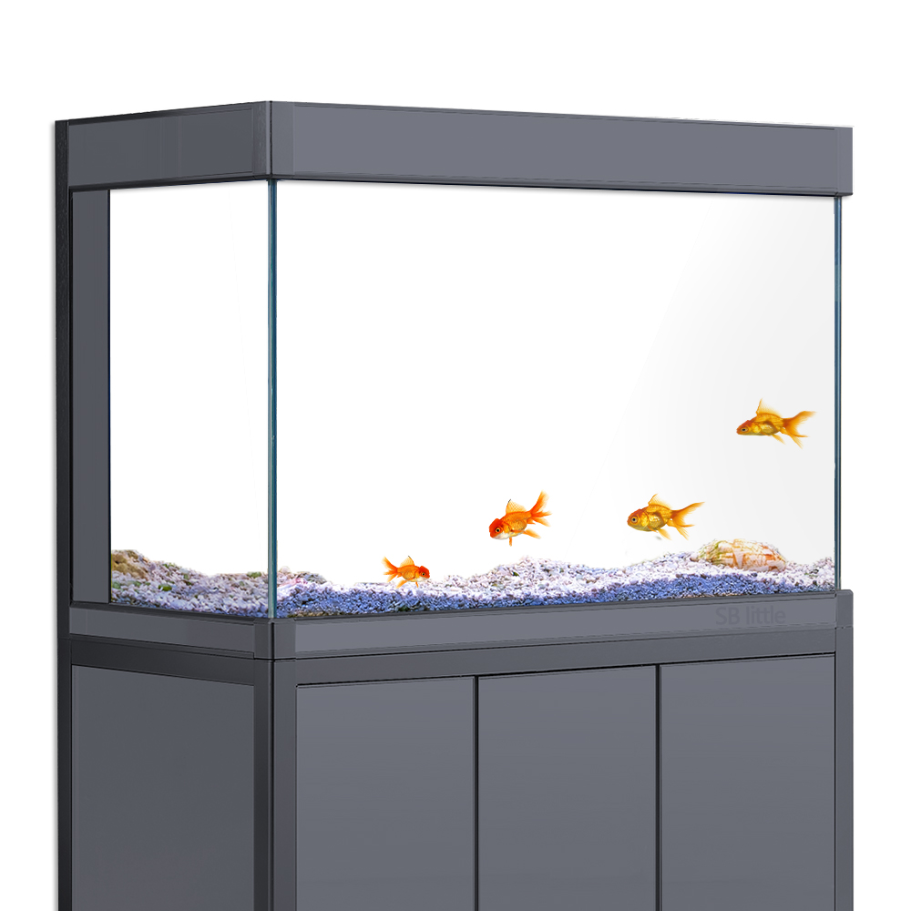 Aquarium Background Static Cli - Aquarium Fish Poster 评论和价格