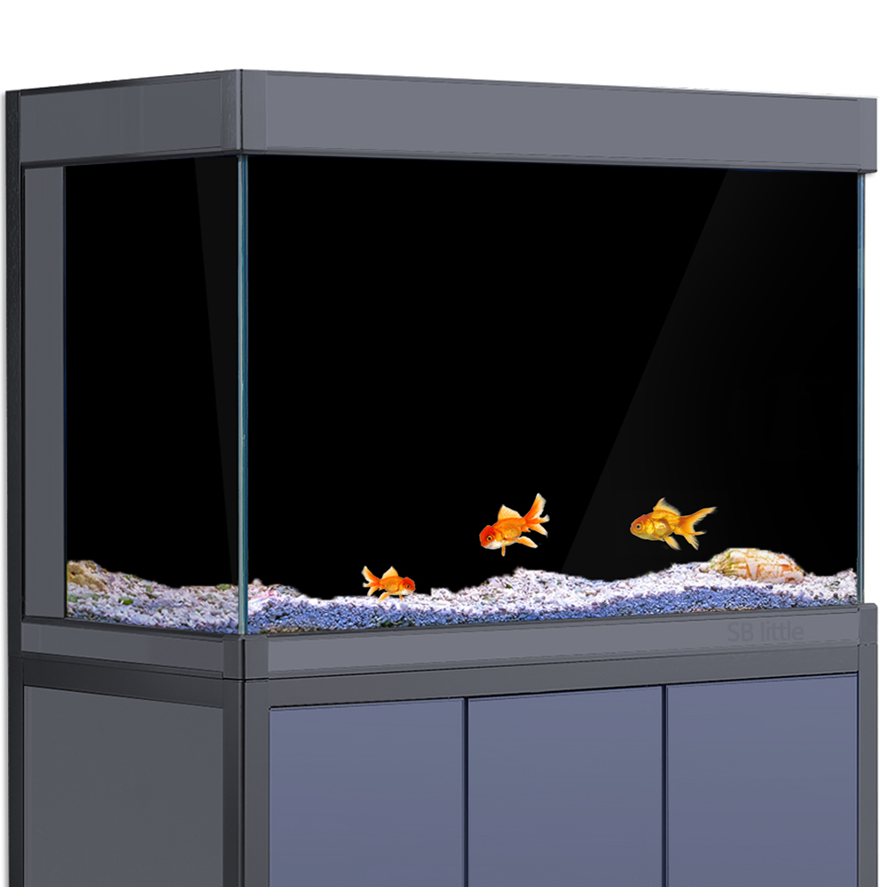 Aquarium Background Static Cli - Aquarium Fish Poster 评论和价格