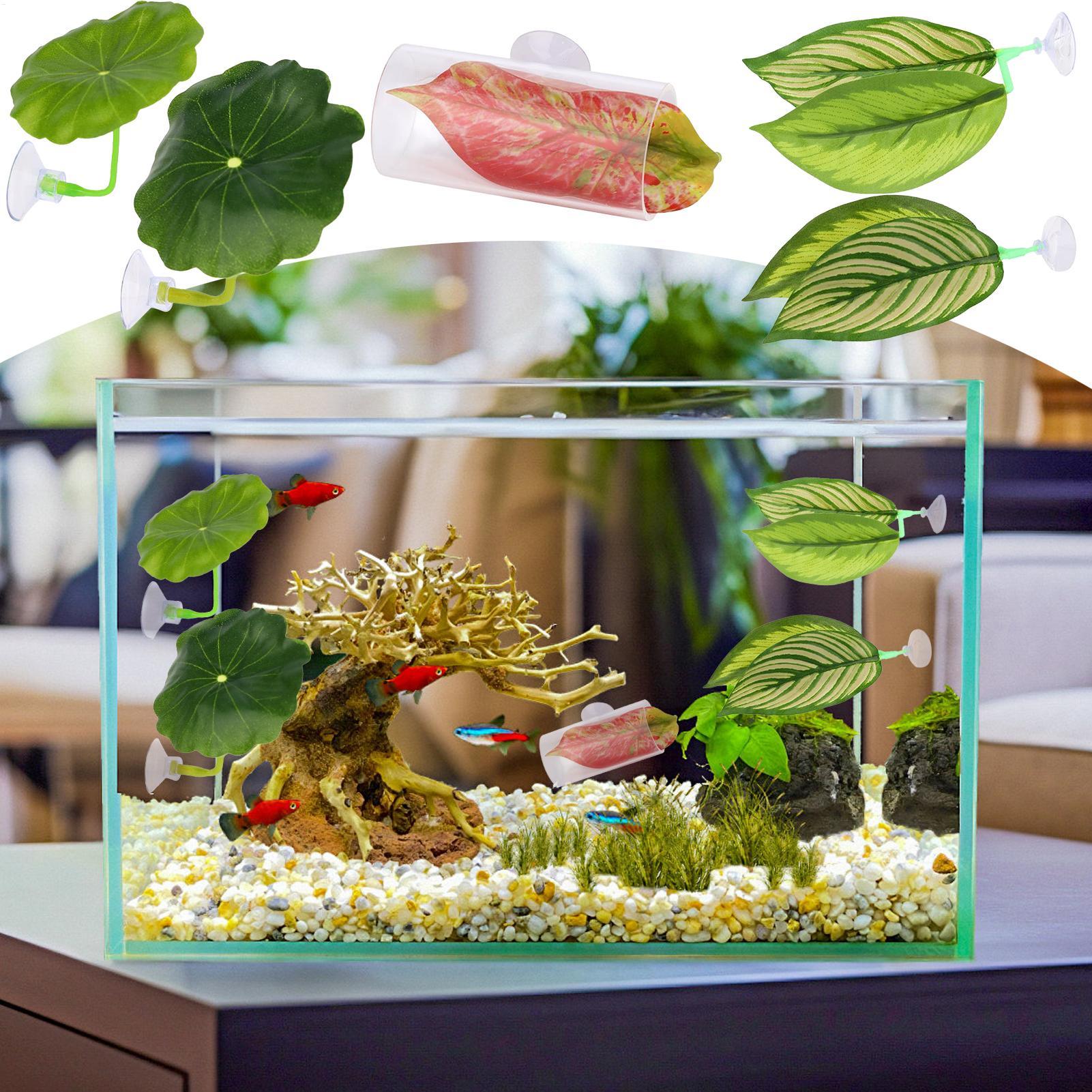 Betta Fish Hammock 5 Pieces Ad - Fish Toy In Aquarium 评论和价格