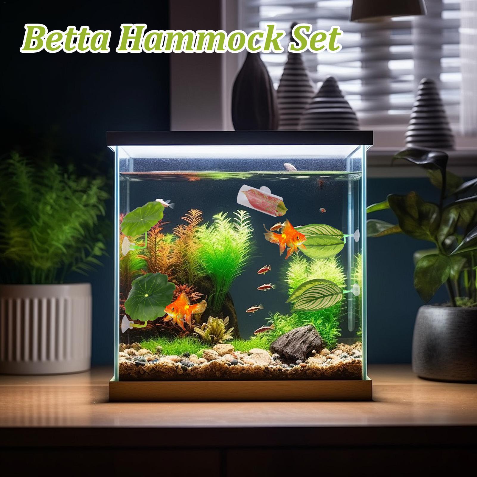 Betta Fish Hammock 5 Pieces Ad - Fish Toy In Aquarium 评论和价格