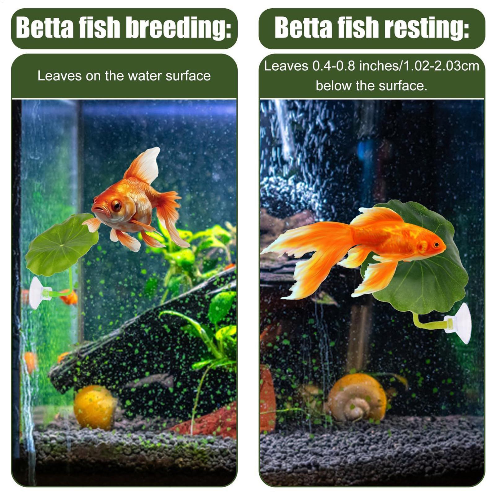 Betta Fish Hammock 5 Pieces Ad - Fish Toy In Aquarium 评论和价格