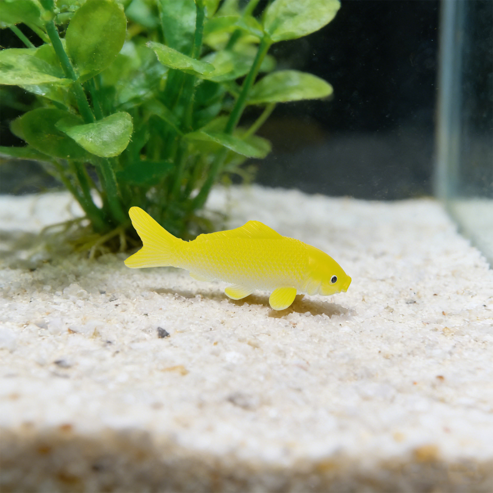 3pcs Fish Crafts Toys Realisti - Fish Toy In Aquarium 评论和价格