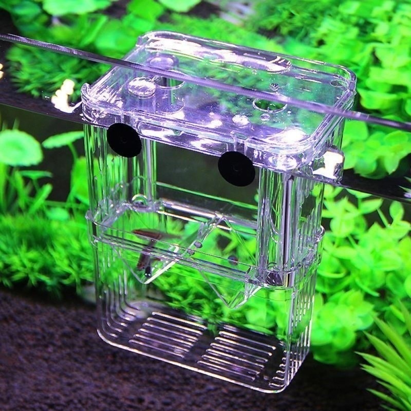 Multifunctional Fish Aquarium  - Aquarium Fish Background 评论和价格