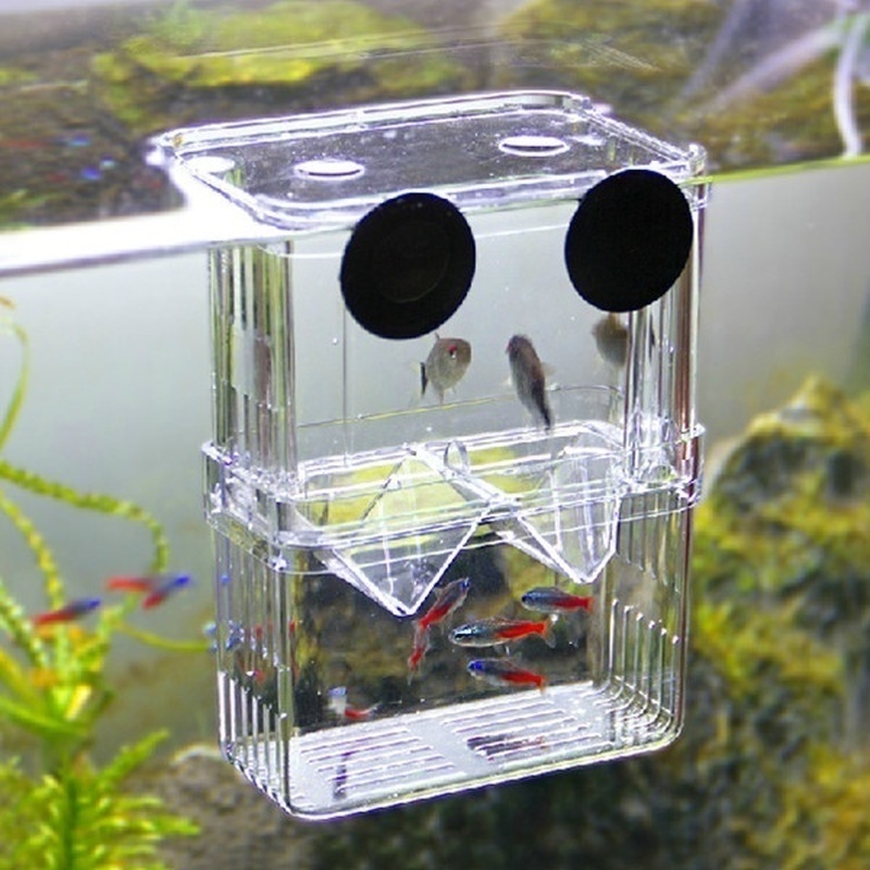 Multifunctional Fish Aquarium  - Aquarium Fish Background 评论和价格