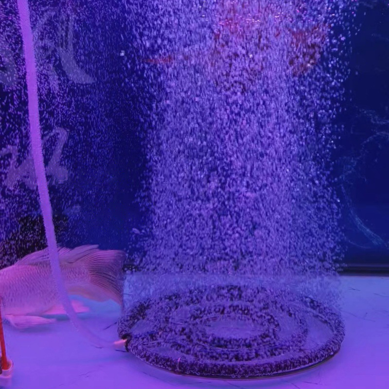 1pcs Nano Aeration Disc Fish P - Aquarium Fish Discus 评论和价格