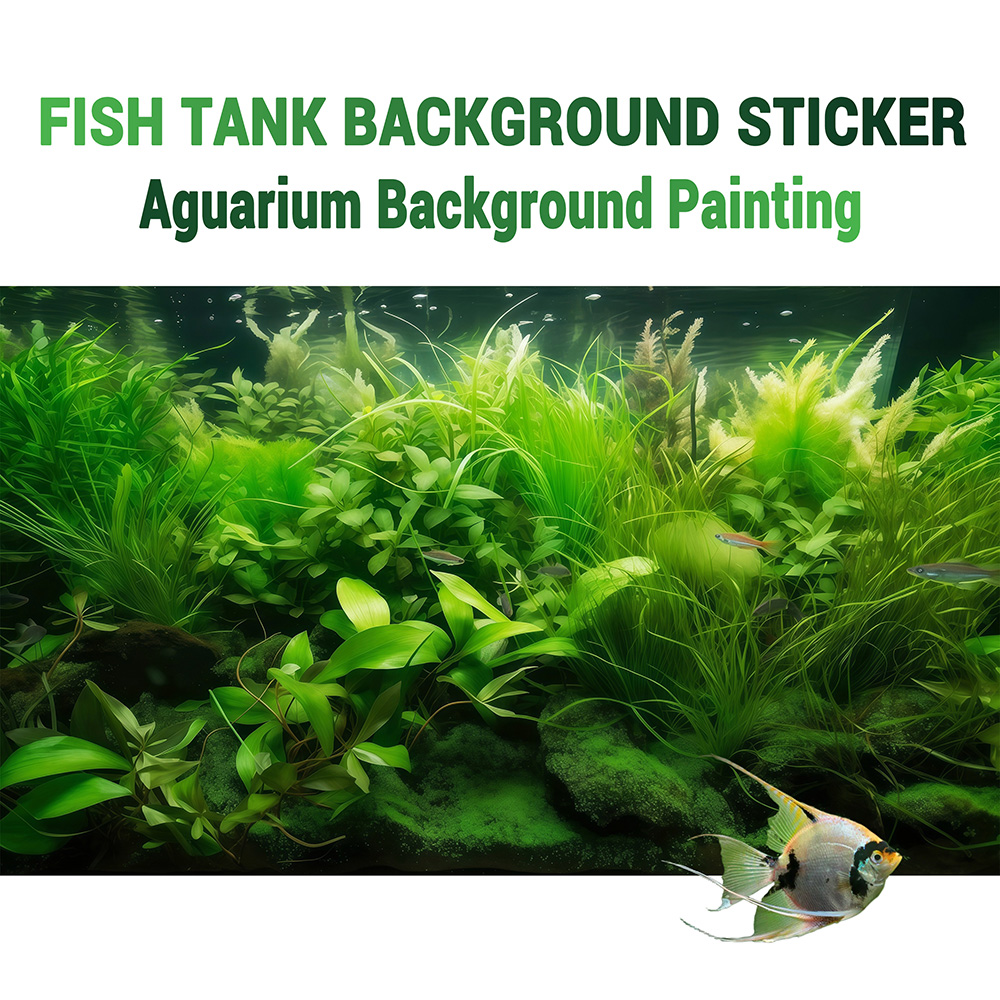 Water Grass Paradise，Fish tank - Aquarium Fish Paradise 评论和价格
