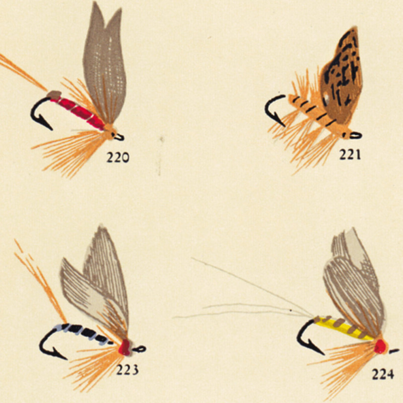 Vintage Fly Fishing Lure Poste - Aquarium Fish Poster 评论和价格