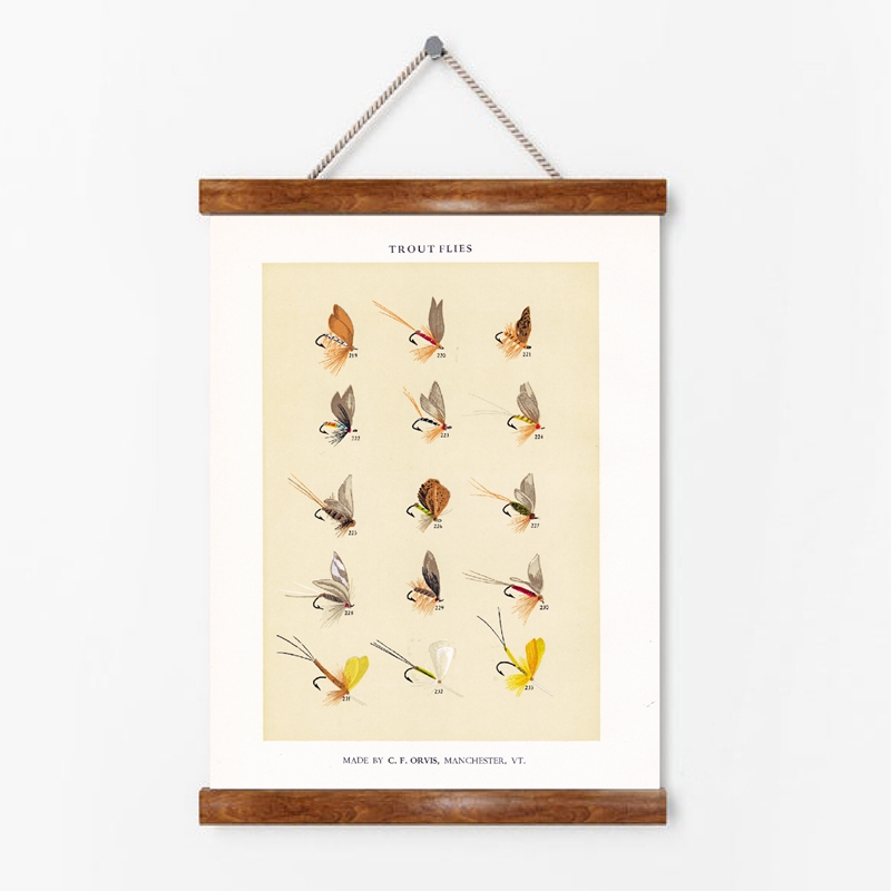 Vintage Fly Fishing Lure Poste - Aquarium Fish Poster 评论和价格
