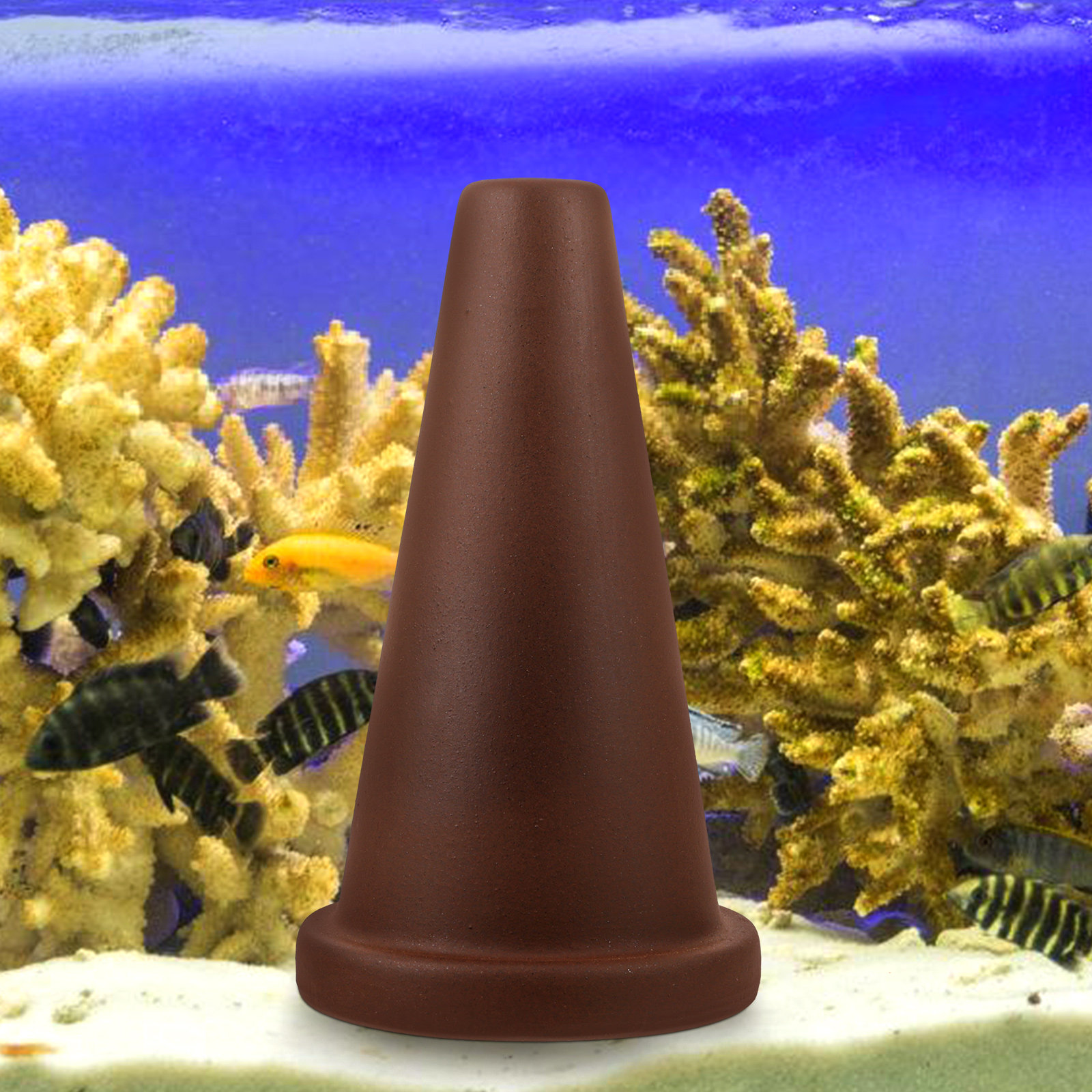 Aquarium Breeding Cone Fish Sp - Aquarium Fish Discus 评论和价格