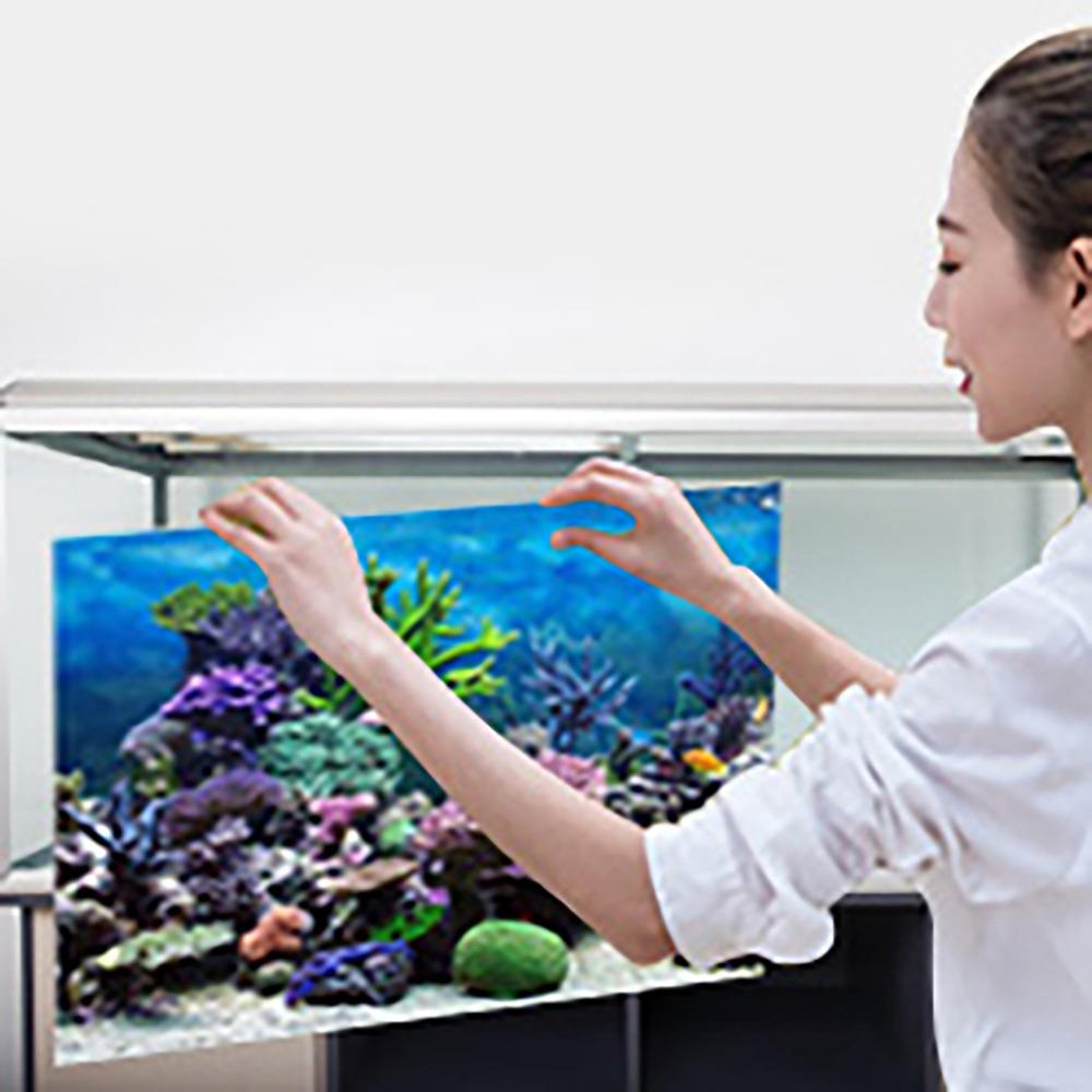 PVC Aquarium Background Poster - Aquarium Fish Poster 评论和价格